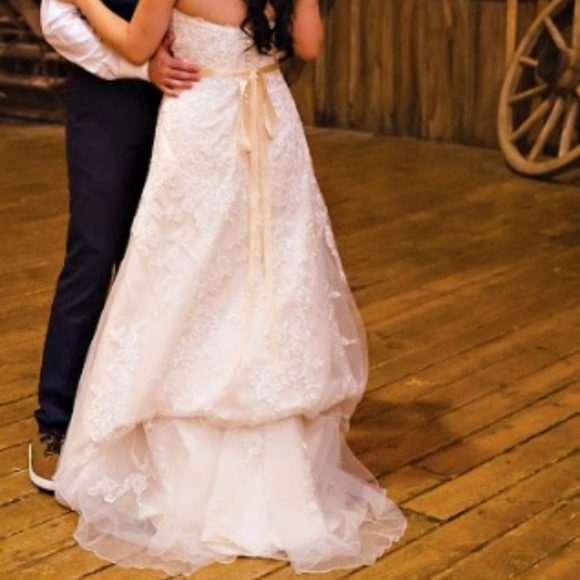 David's Bridal Lace Overlay Wedding Dress - Picture 5 of 6